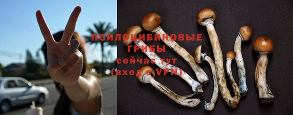 мескалин Каменногорск