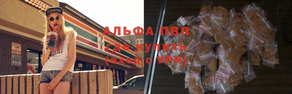 ГАЛЛЮЦИНОГЕННЫЕ ГРИБЫ Карпинск