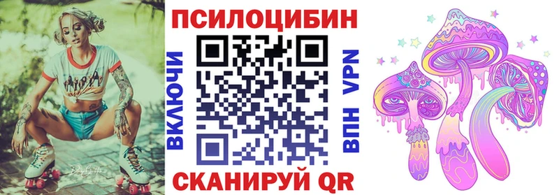 Купить  Камень-на-Оби  Псилоцибиновые грибы прущие грибы 